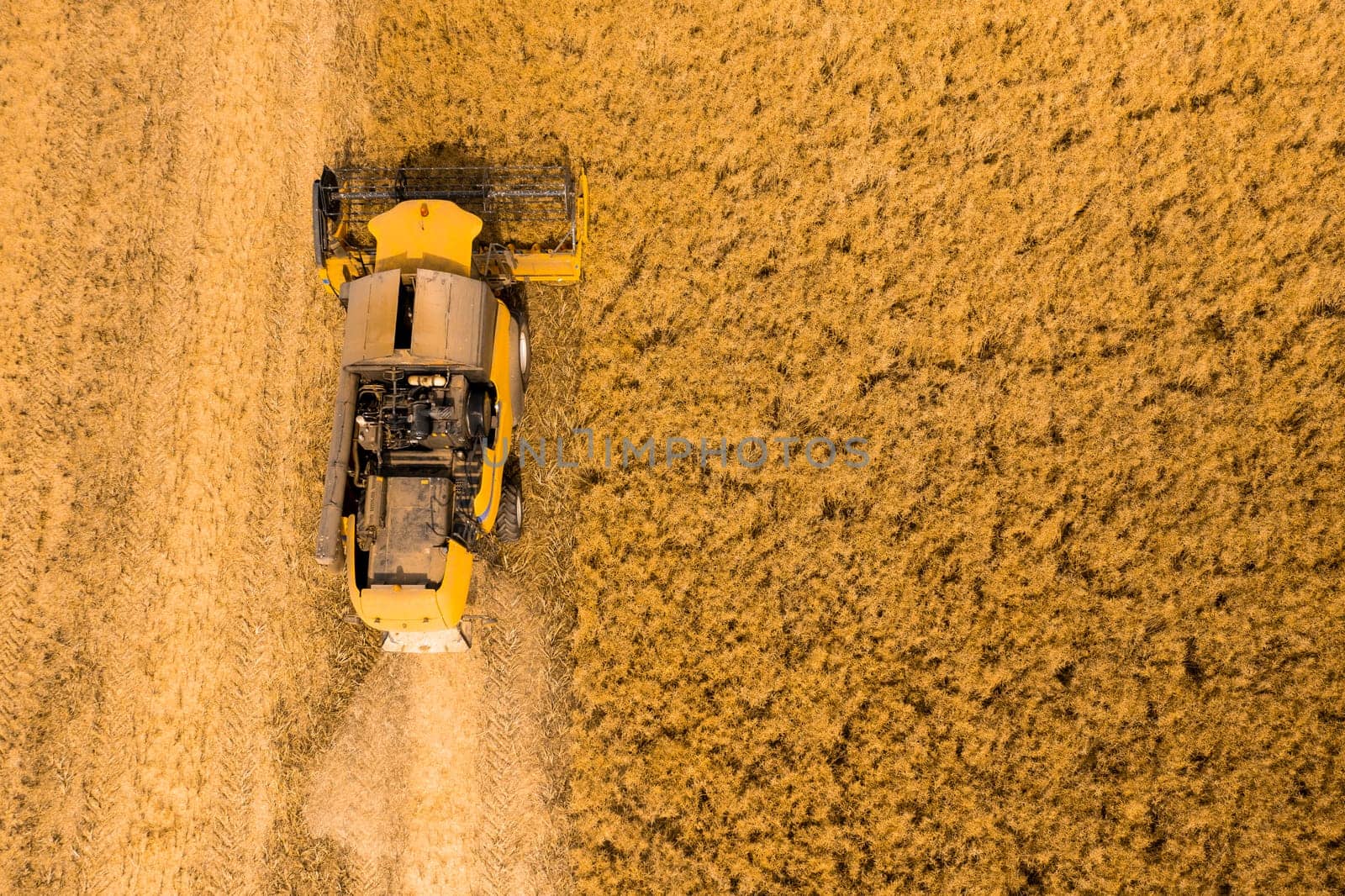 Top view of a combine harvester harvesting wheat from a field by vladimka