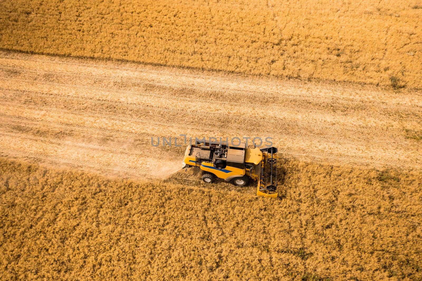 Top view of a combine harvester harvesting wheat from a field.