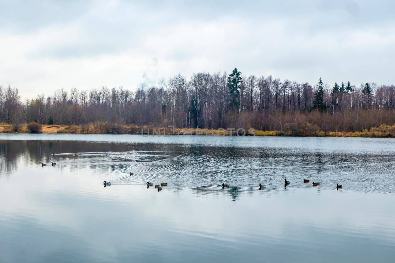 Autumn landscape by the lake and shore. Pond in autumn, yellow leaves, reflection. High quality photo