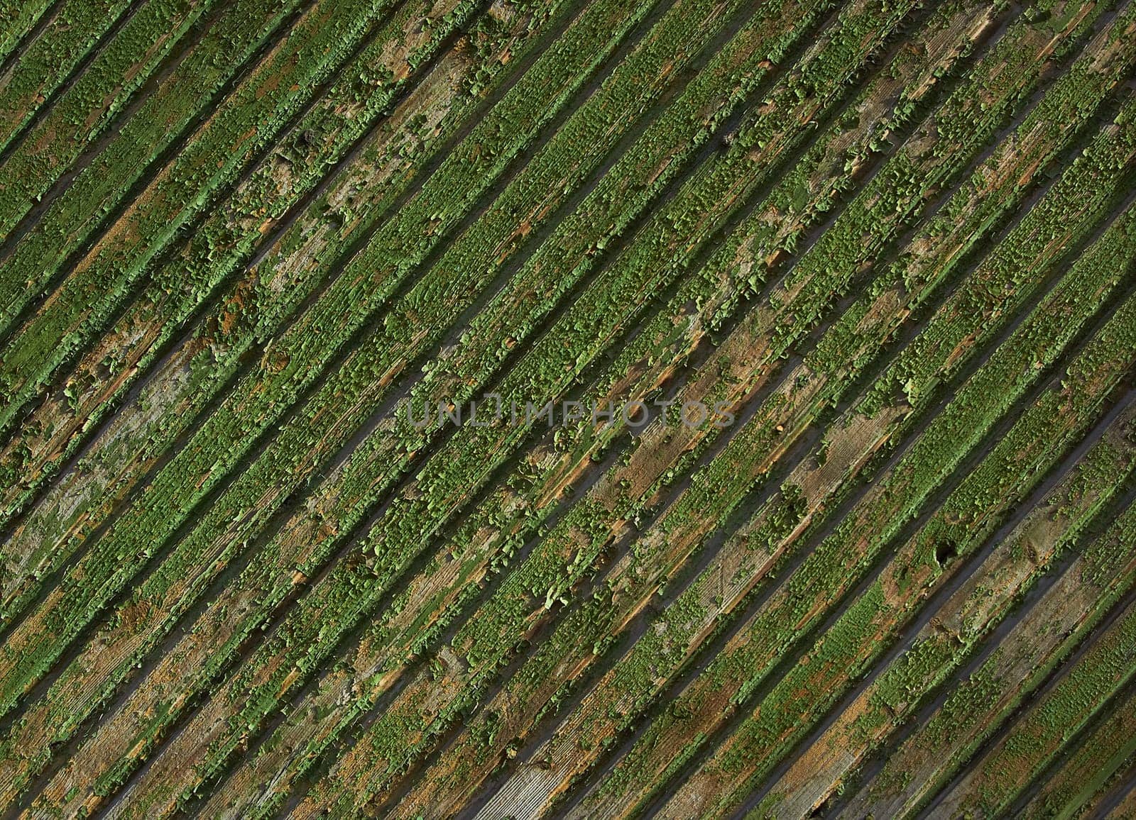 Dark green wood texture background surface with old natural pattern, retro board texture beautiful old rustic vintage painting problematic wallpaper Fence