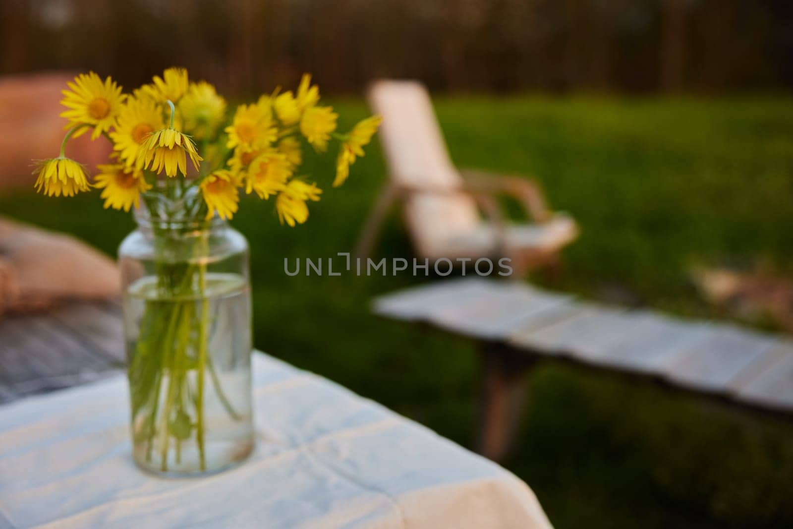 yellow wild flowers stand in a transparent vase on the street by Vichizh