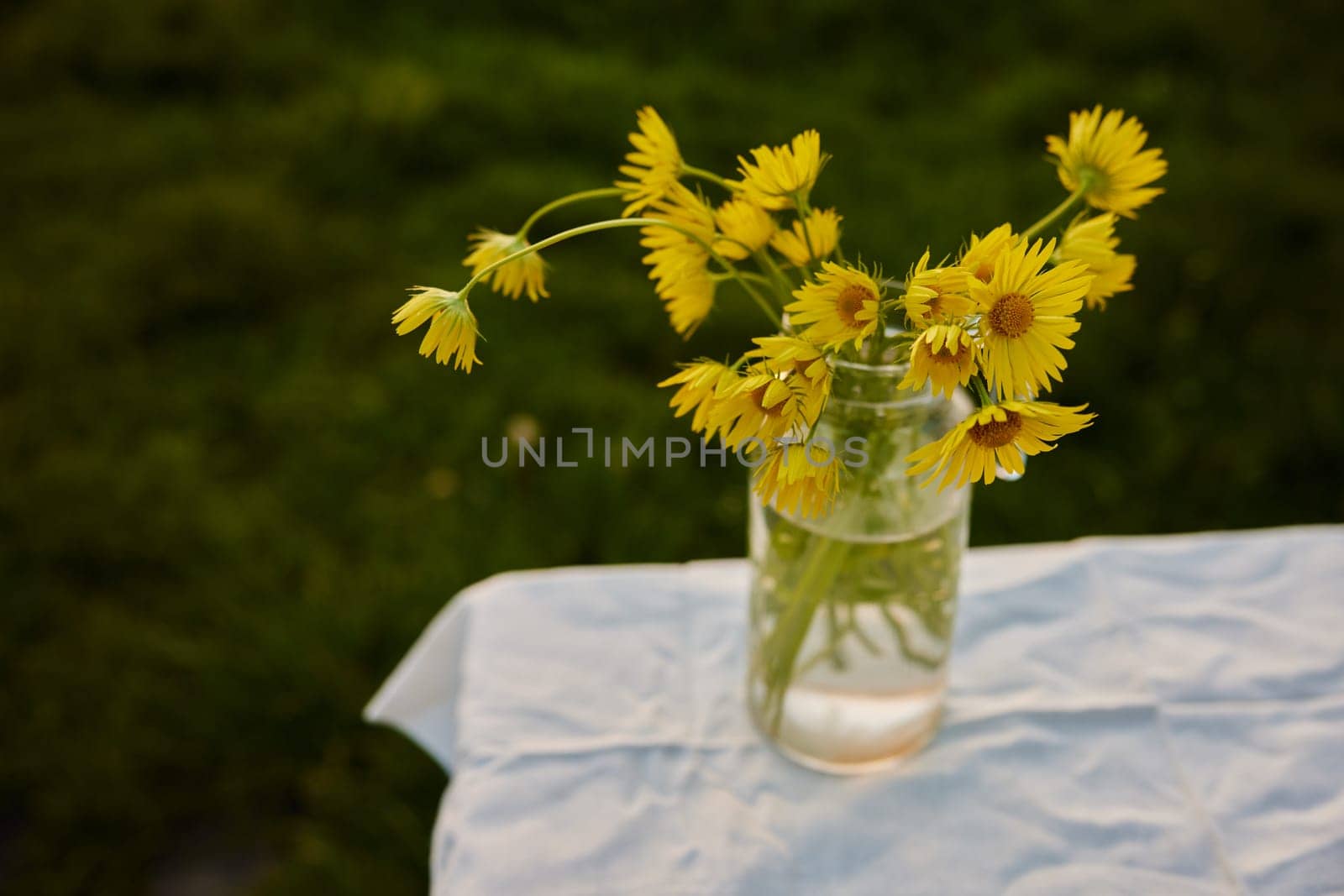 horizontal photo of flowers in a vase by Vichizh