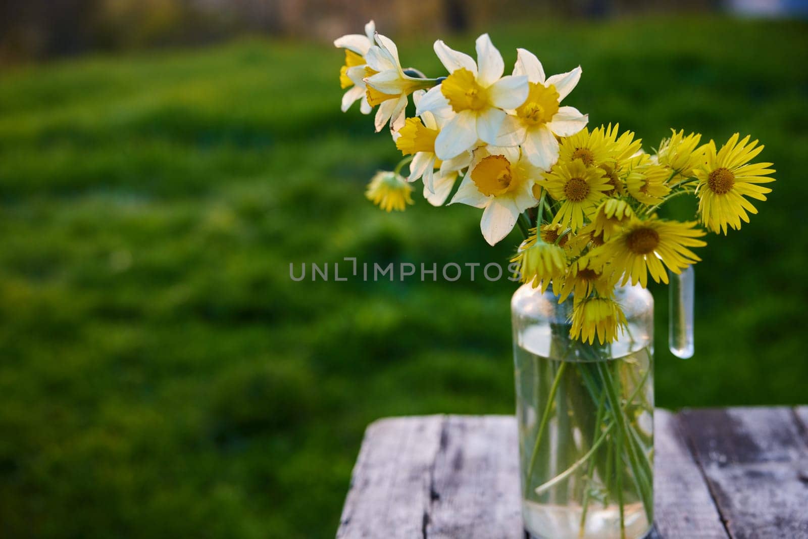 still life of rural flowers. High quality photo