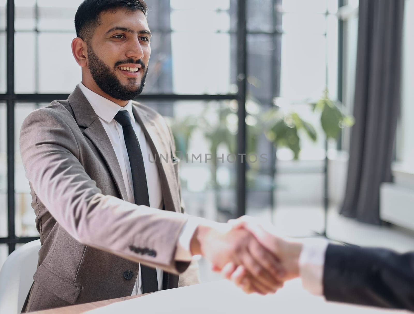 Business handshake and business people
