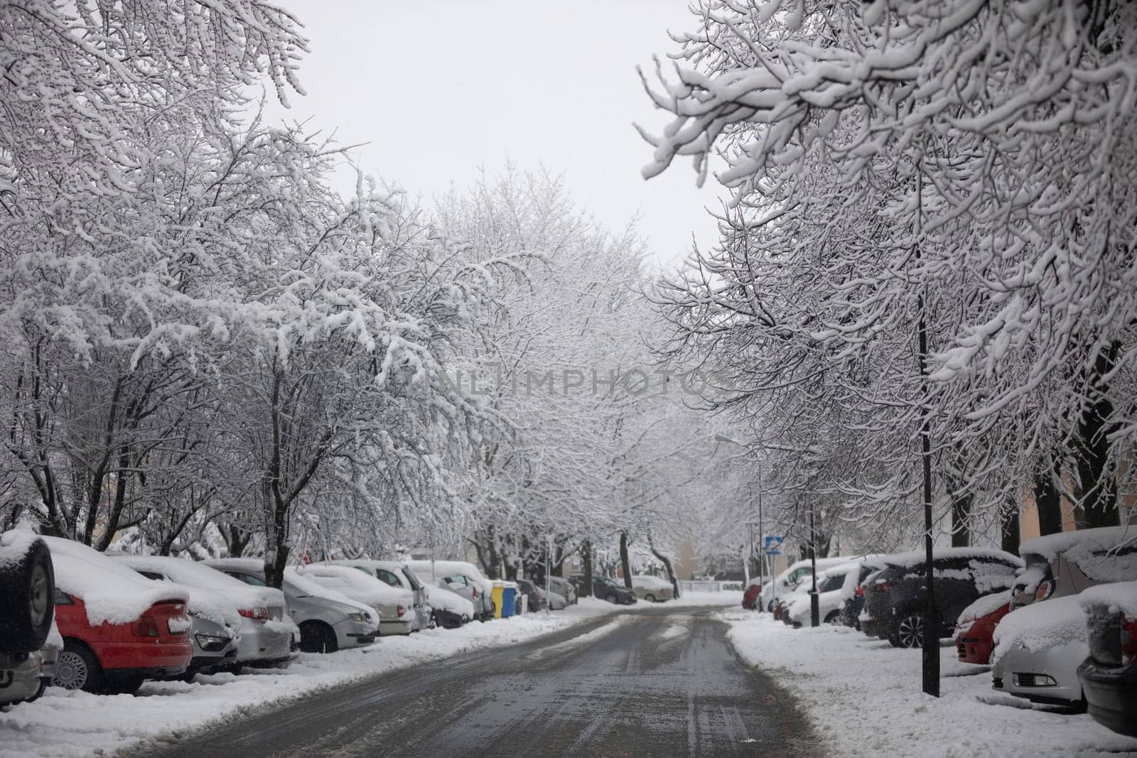 A view of the snow-covered street. On both sides of the street are parked passenger cars covered with a thick layer of snow. Above the cars can be seen branches of trees bending under the weight of snow.