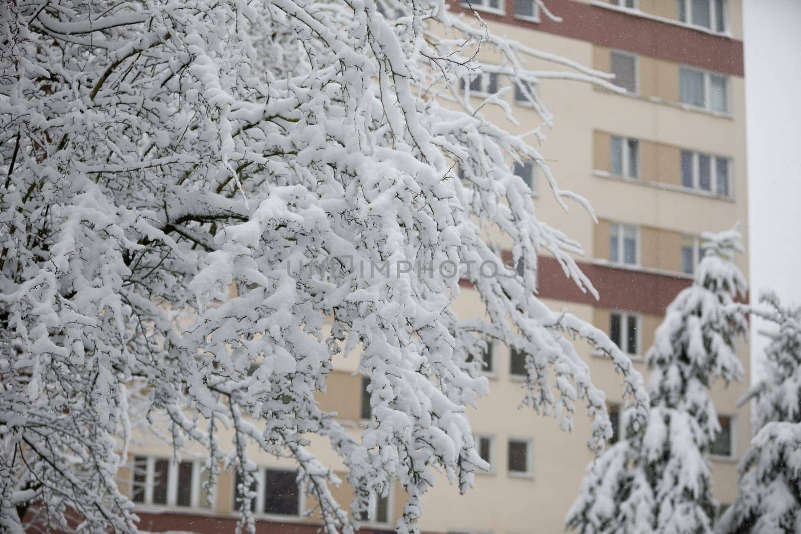In the foreground visible tree branches covered with snow. In the background a blurred section of a multi-family residential building. The block is colored in yellow and maroon.