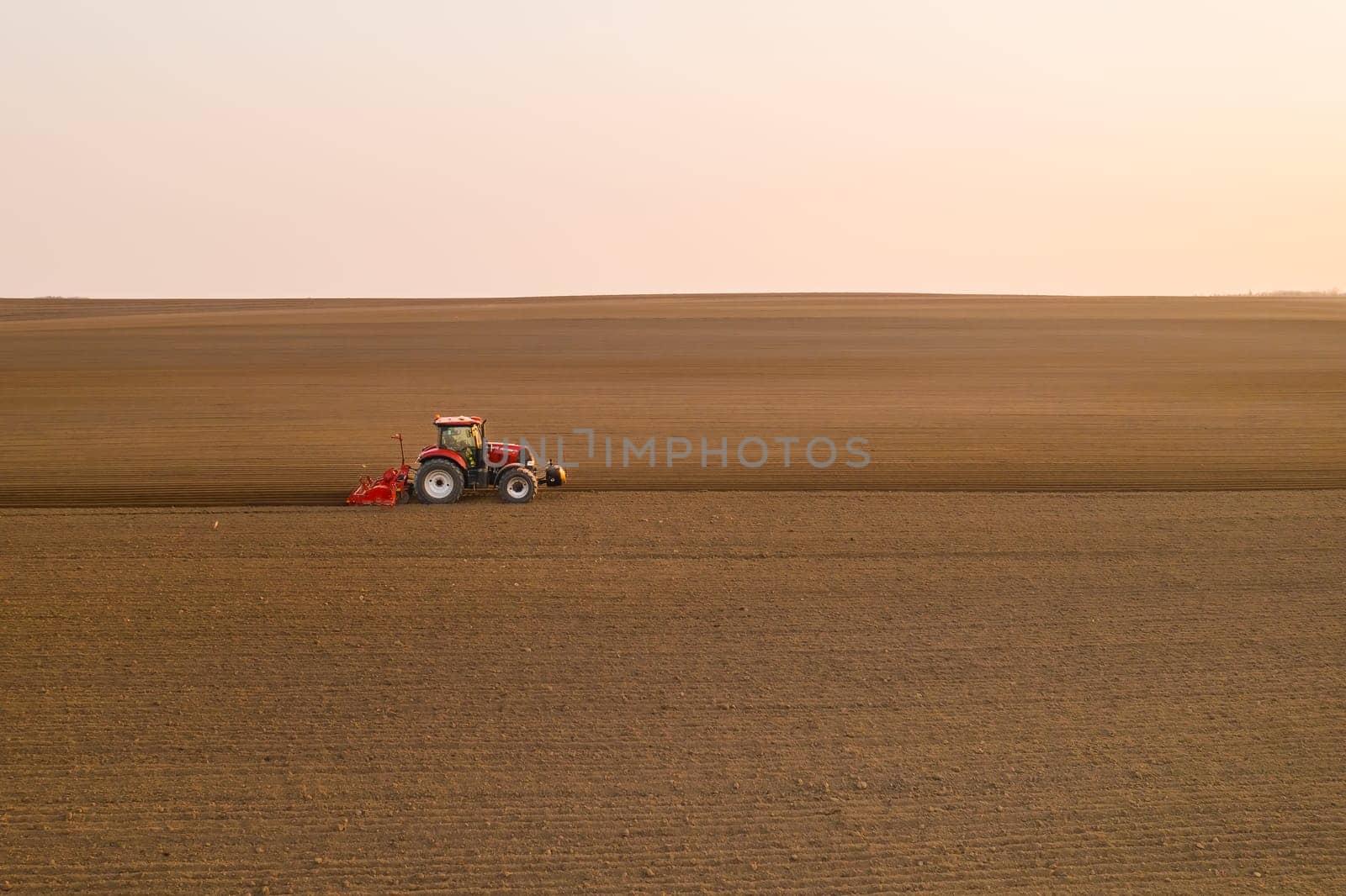 Tractor pulls subsoiler to prepare beds for sowing grain in cultivated field at sunset. Agricultural machinery operates in countryside