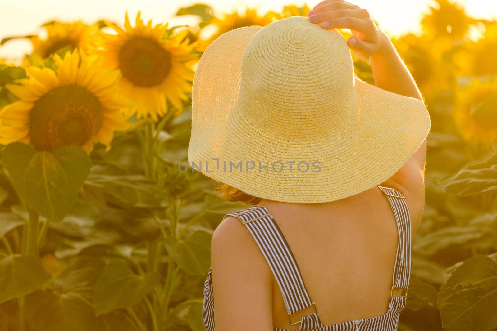 Young woman looks at bright sunflowers growing in rural field at sunset. Lady in straw hat stands among beautiful plants backside close view