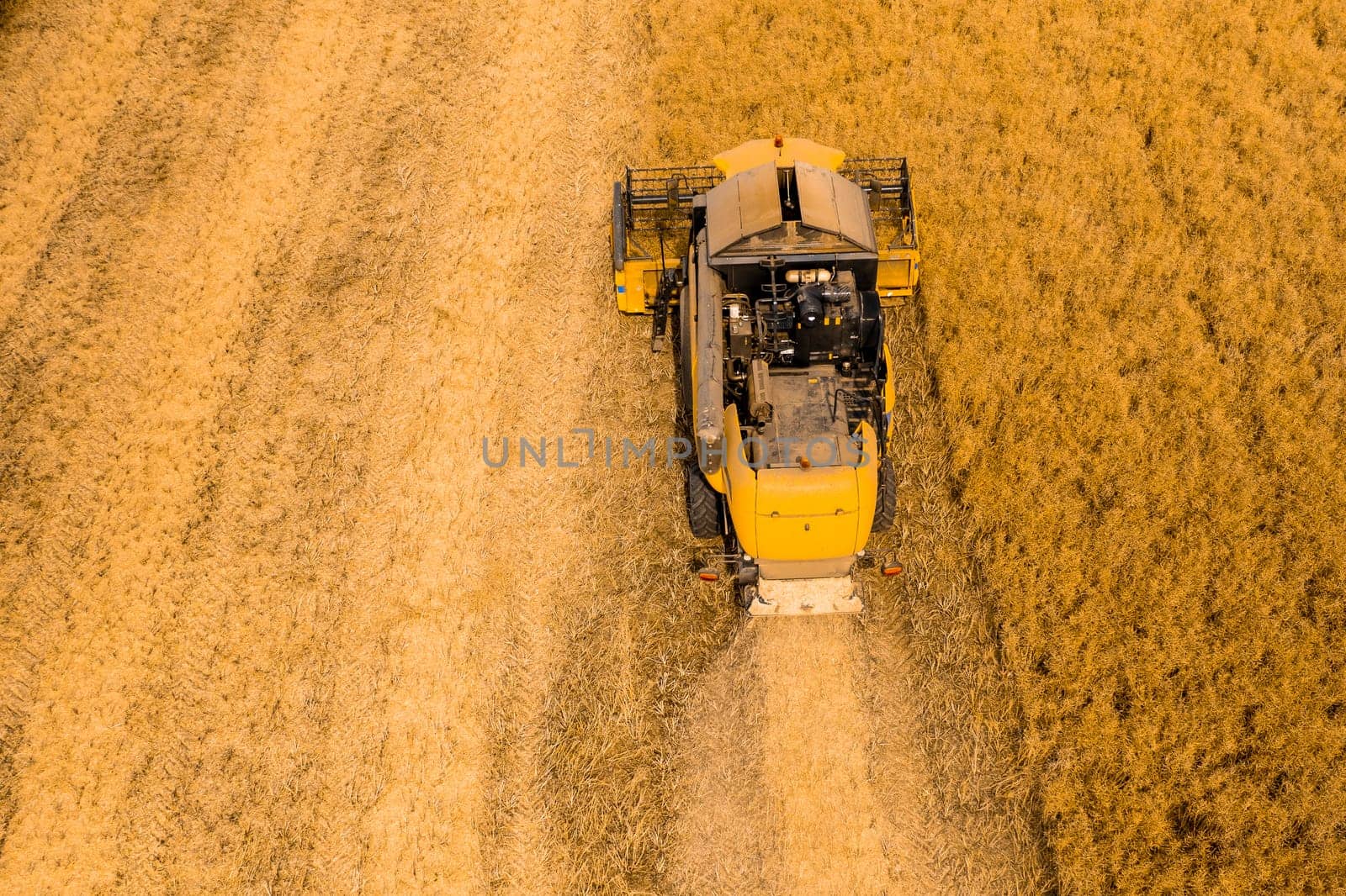 Top view of a combine harvester harvesting wheat from a field.