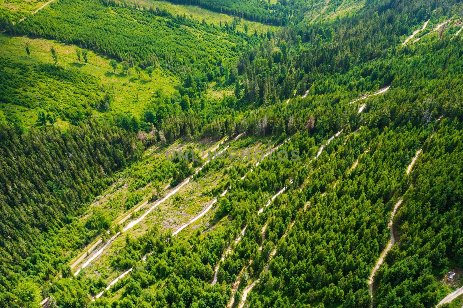 Aerial view of amazing landscape with high trees on the hills in a summer sunny day, Dolni Morava, Czech Republic.