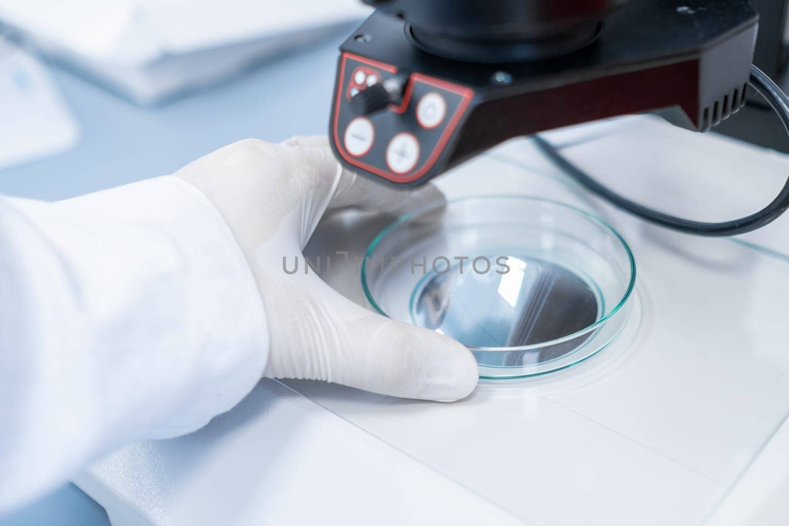 Scientist examining sample in Petri dish with a microscope. Modern biological laboratory