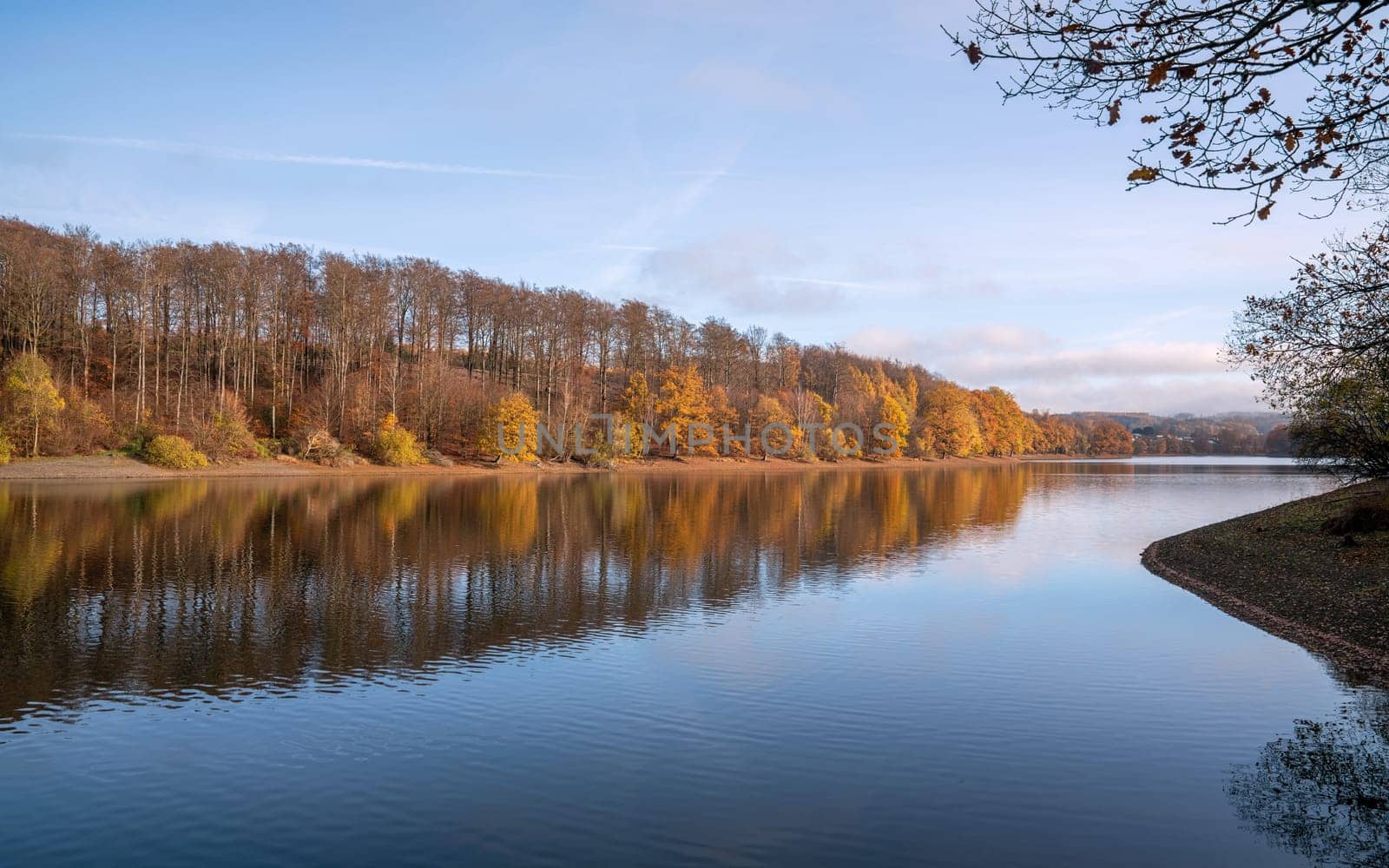 Lingese lake, Bergisches Land, Germany by alfotokunst