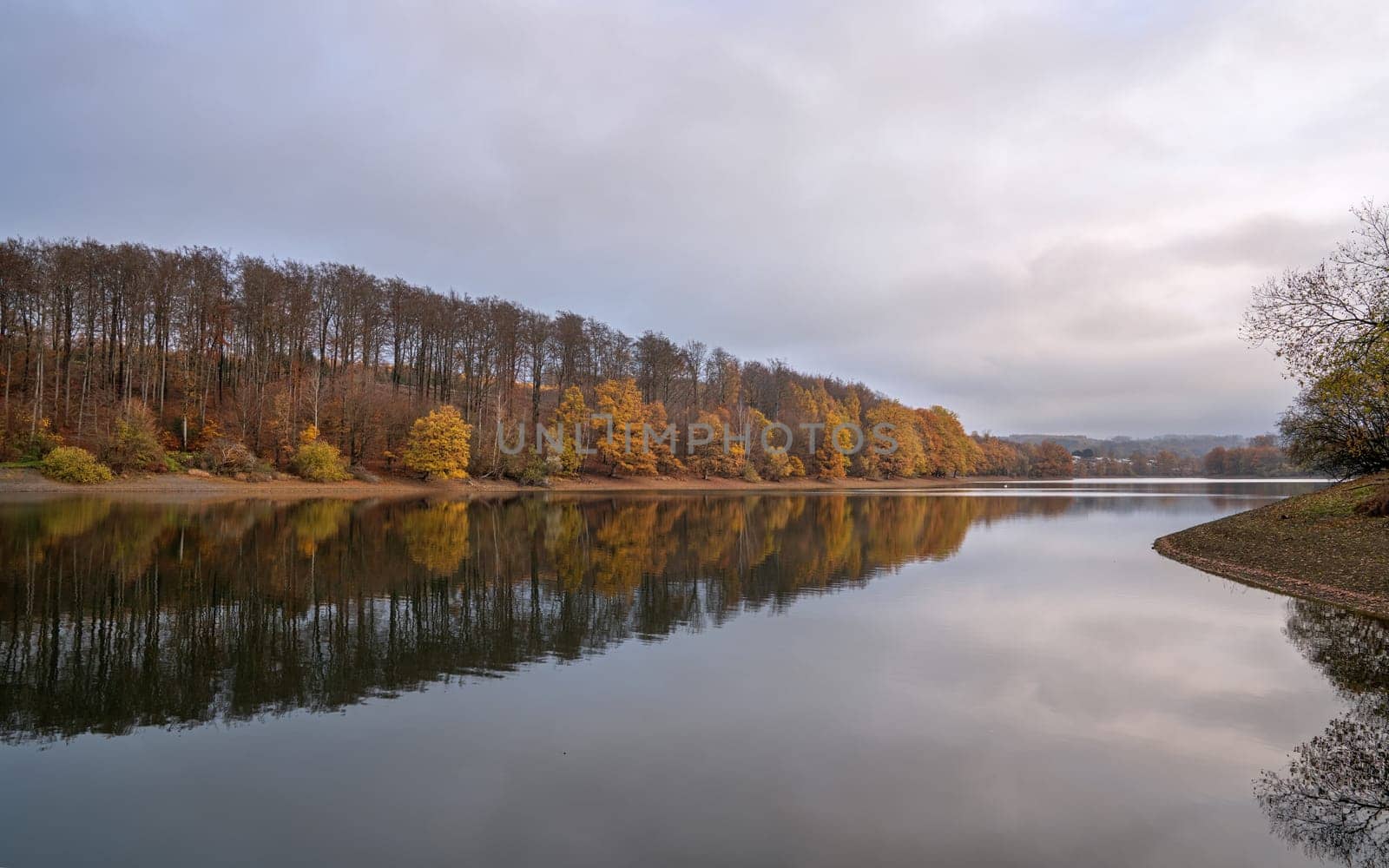 Lingese lake, Bergisches Land, Germany by alfotokunst