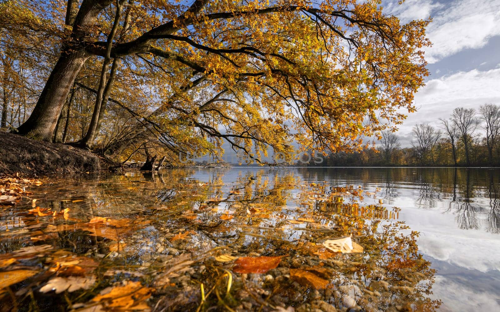 Unterbach lake, Dusseldorf, Germany by alfotokunst