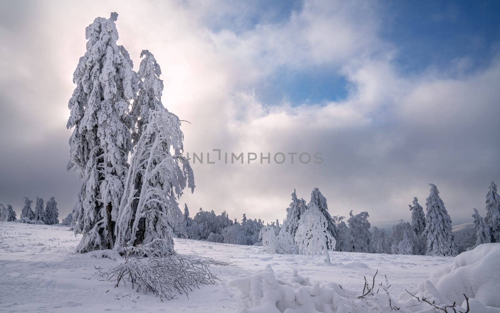 Panoramic landscape image of Kahler Asten during wintertime, Sauerland, Germany