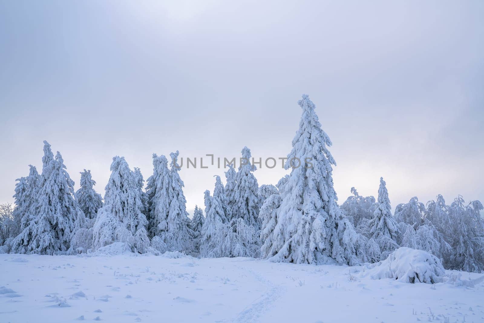 Panoramic landscape image of Kahler Asten during wintertime, Sauerland, Germany