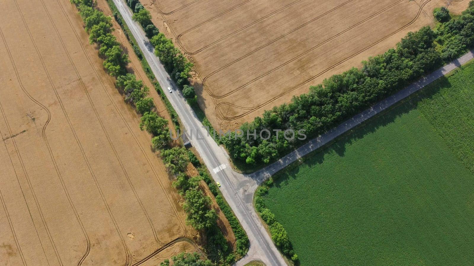 Automobile asphalt road with cars driving along it between agricultural fields by Mari1408