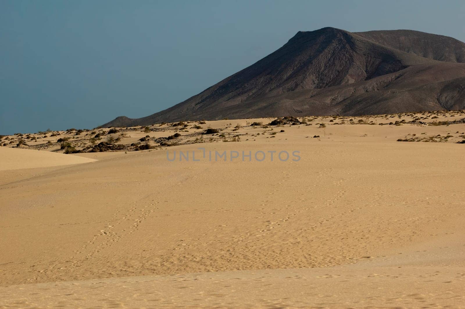 Parque National de Corralejo, Fuerte Ventura, Canary Islands, Spain