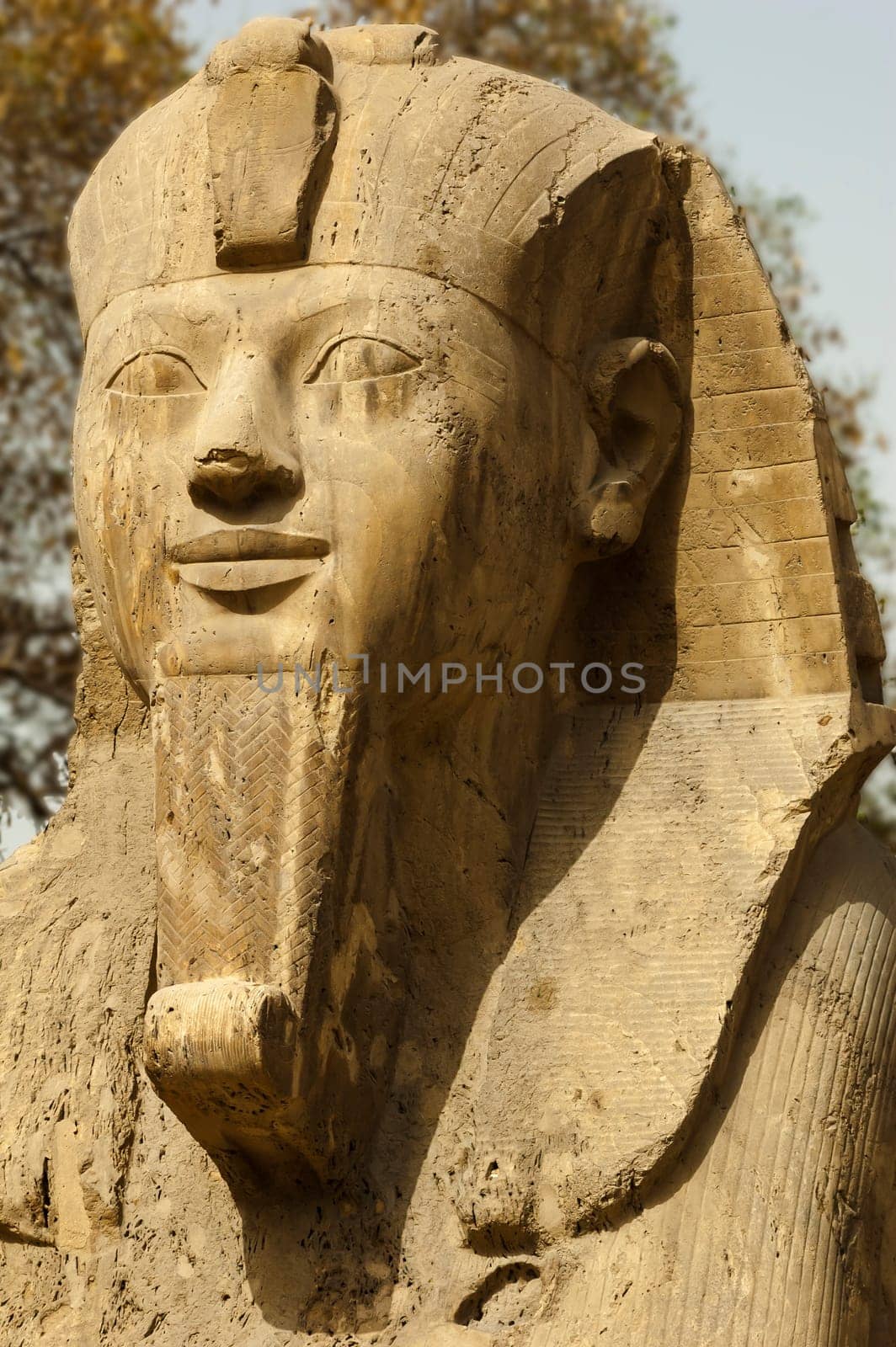 Menphis, Egypt - April 13 2008: : The sphinx of Ramses II of the nineteenth dynasty. Menphis archaeological site