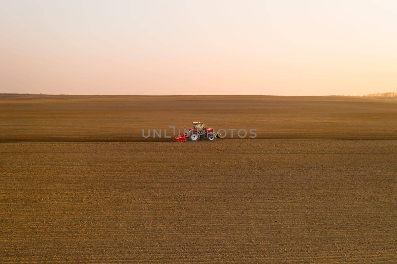 Tractor pulls subsoiler to prepare beds for sowing grain in cultivated field at sunset. Agricultural machinery operates in countryside