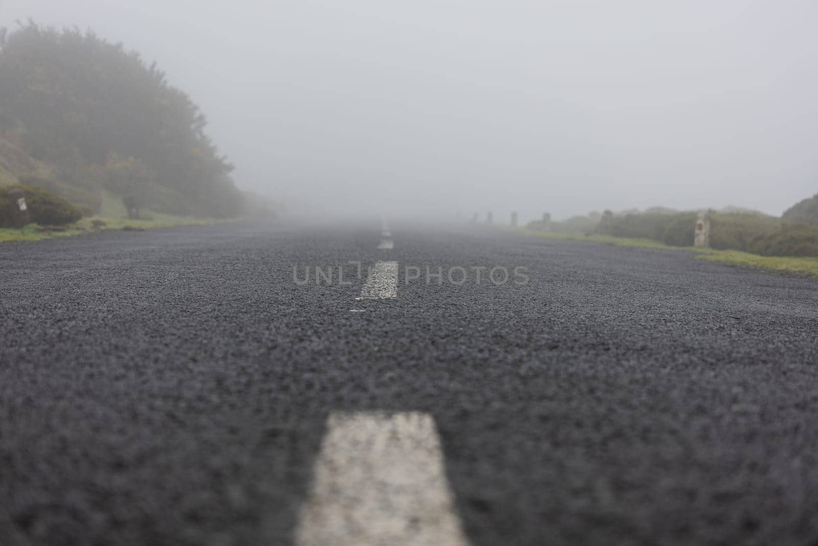 Early morning fog obscures the road, adding a mysterious feel to this transportation scene.