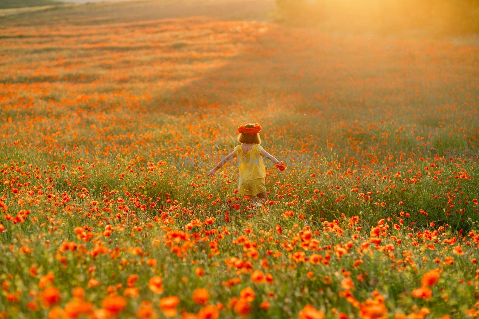 Happy girl poppy field walks under the evening sun. Back view by Matiunina