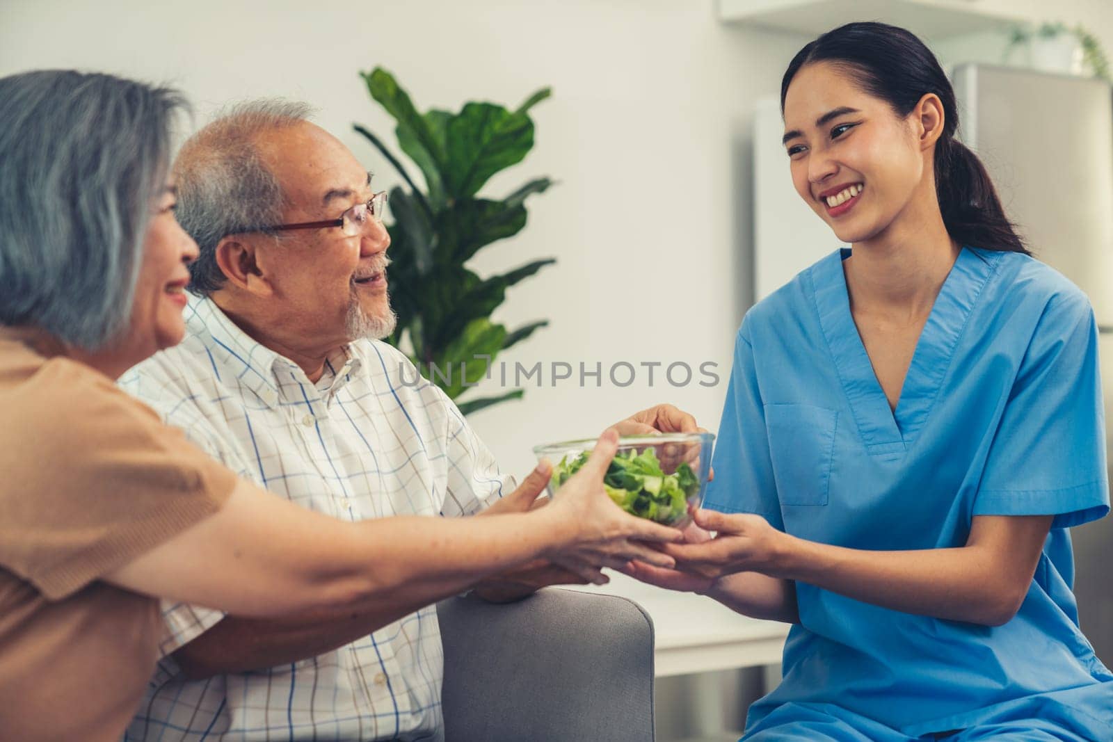 A female nurse serves a bowl of salad to a contented senior couple. Health care and medical assistance for the elderly, nursing home for pensioners.