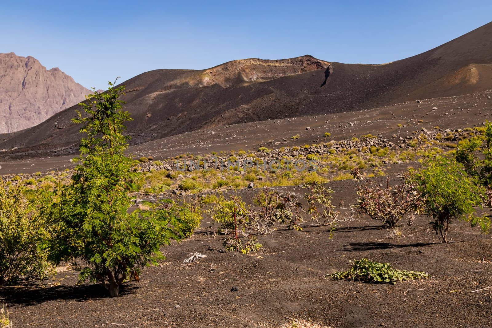 A secondary crater with lava boulders and grasses on the slope of Pico do Fogo on Fogo Island, Cape Verde Islands