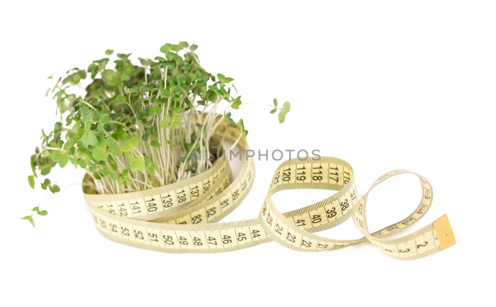 Mustard microgreens, super food. A bunch of mustard greens is wrapped in a yellow centimeter tape. Microgreens promote weight loss, diet, balanced nutrition