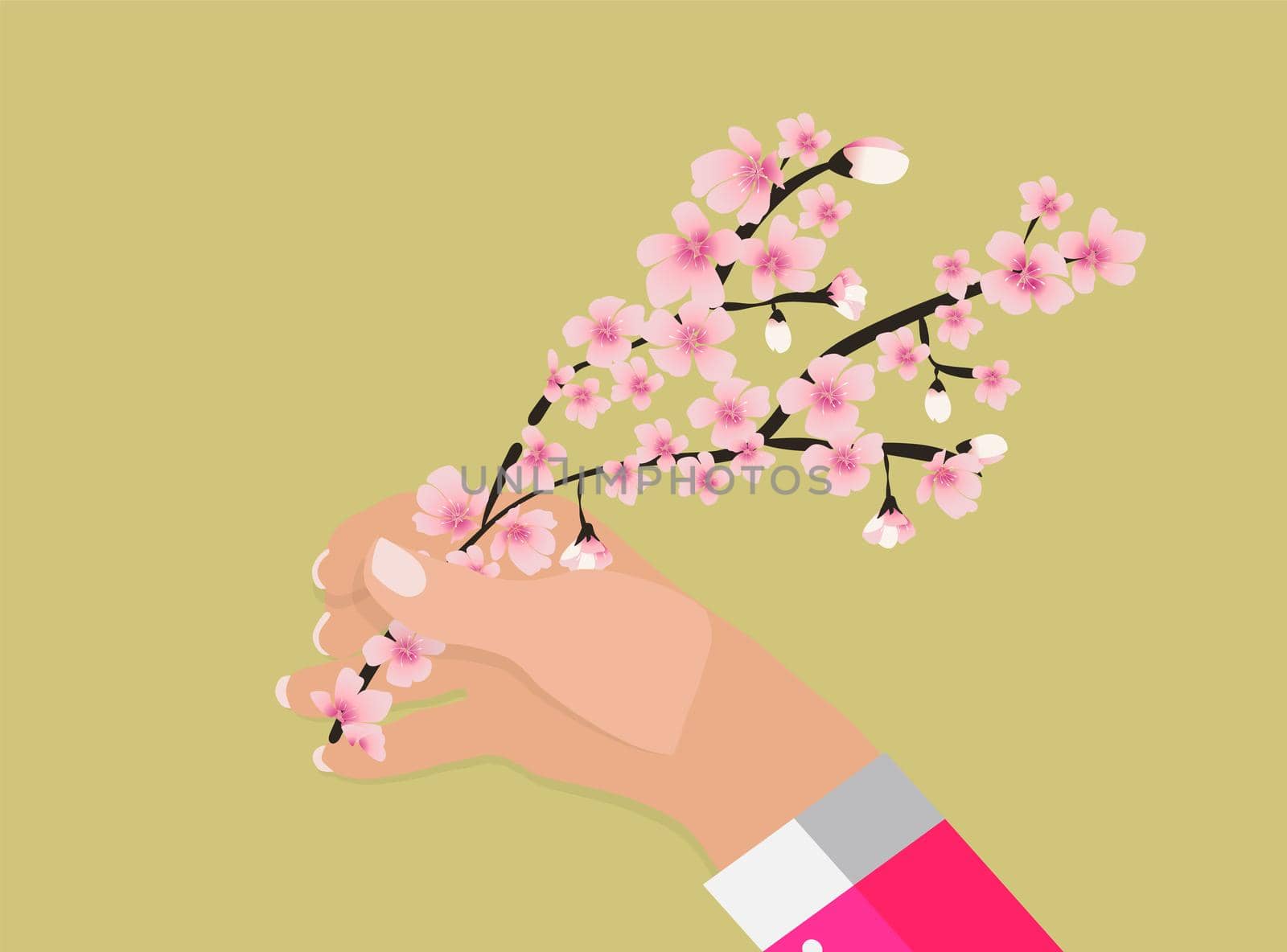 Hand holding colorful branch of cherry blossoms. Vector Illustration by yganko