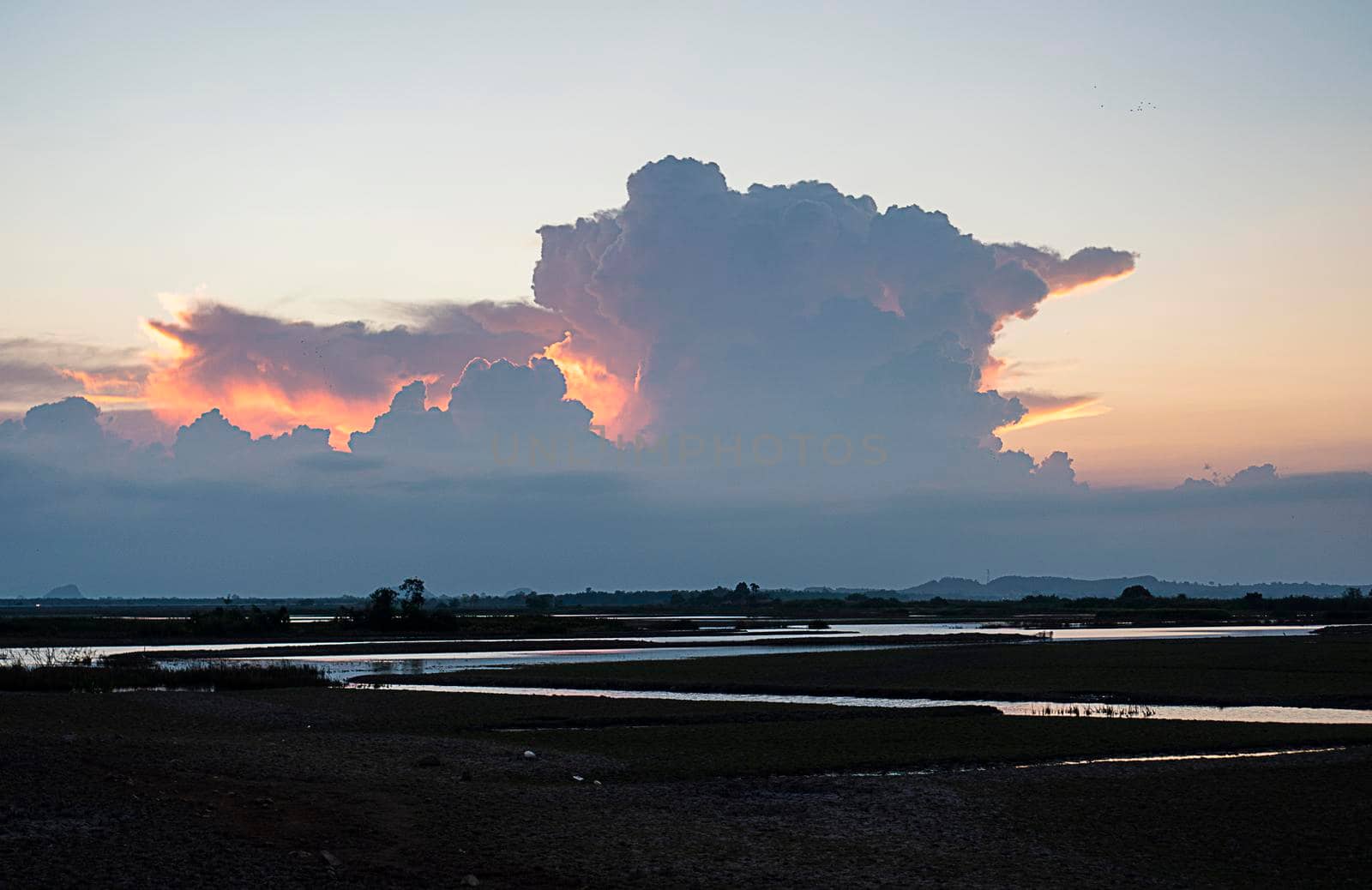 The sky in the evening, the blue cloud hits the orange light of the sun, the ground is swamp