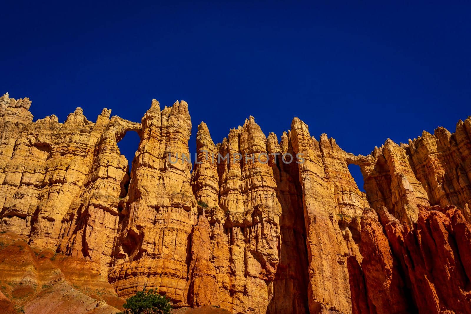 Wall of Windows in Bryce Amphitheater by gepeng