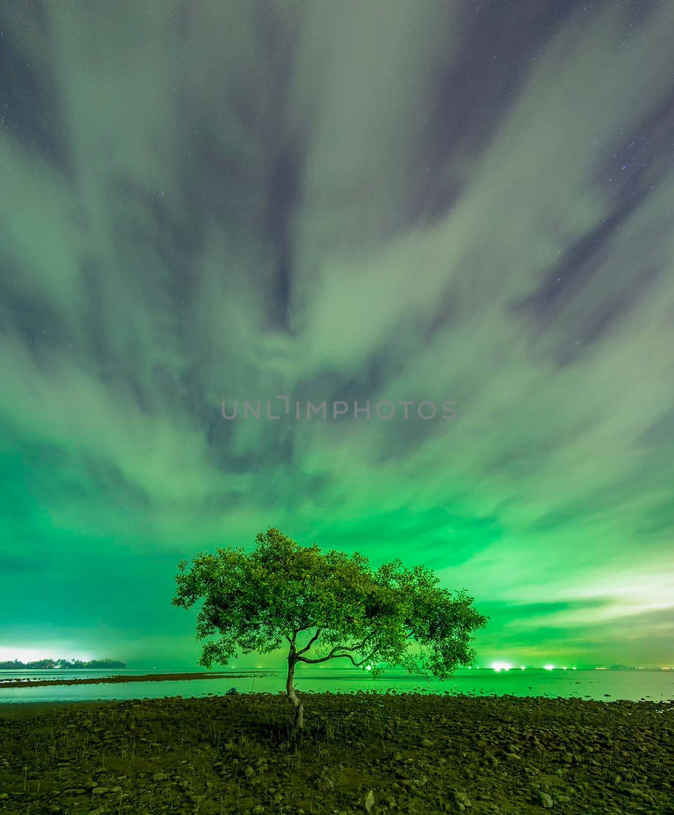 A tree at the mouth of Chumphon Beach, Chumphon Province. The motion of clouds. Along the mangrove forest will receive the green light from the fishing boat.