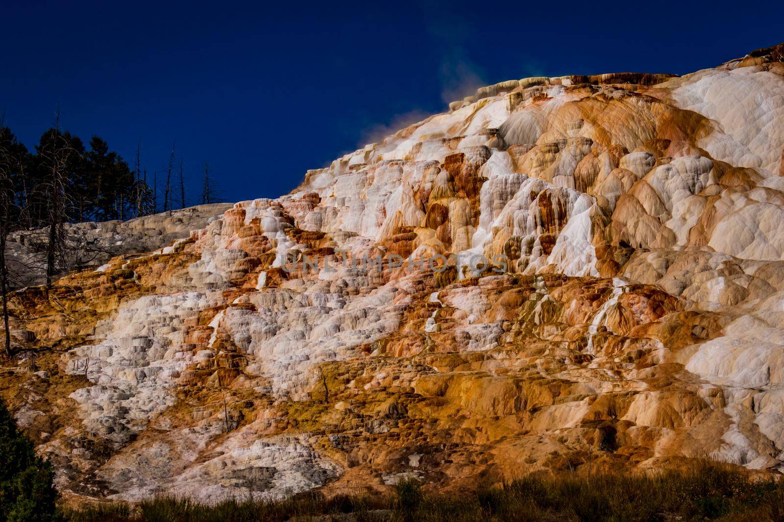 Travertine terraces at Mammoth Hot Springs, Yellowstone National Park