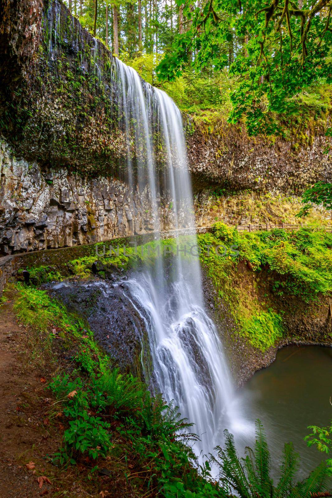 Waterfall in Silver Falls state partk by gepeng