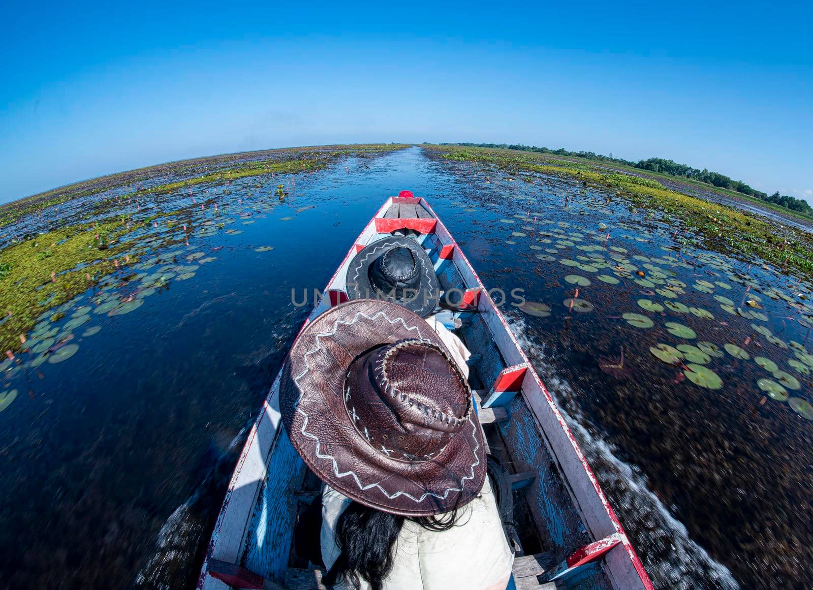 Cruising in the lake, heading straight forward, cruising in the pond with boiling water, afternoon sun, the sky is dark blue.