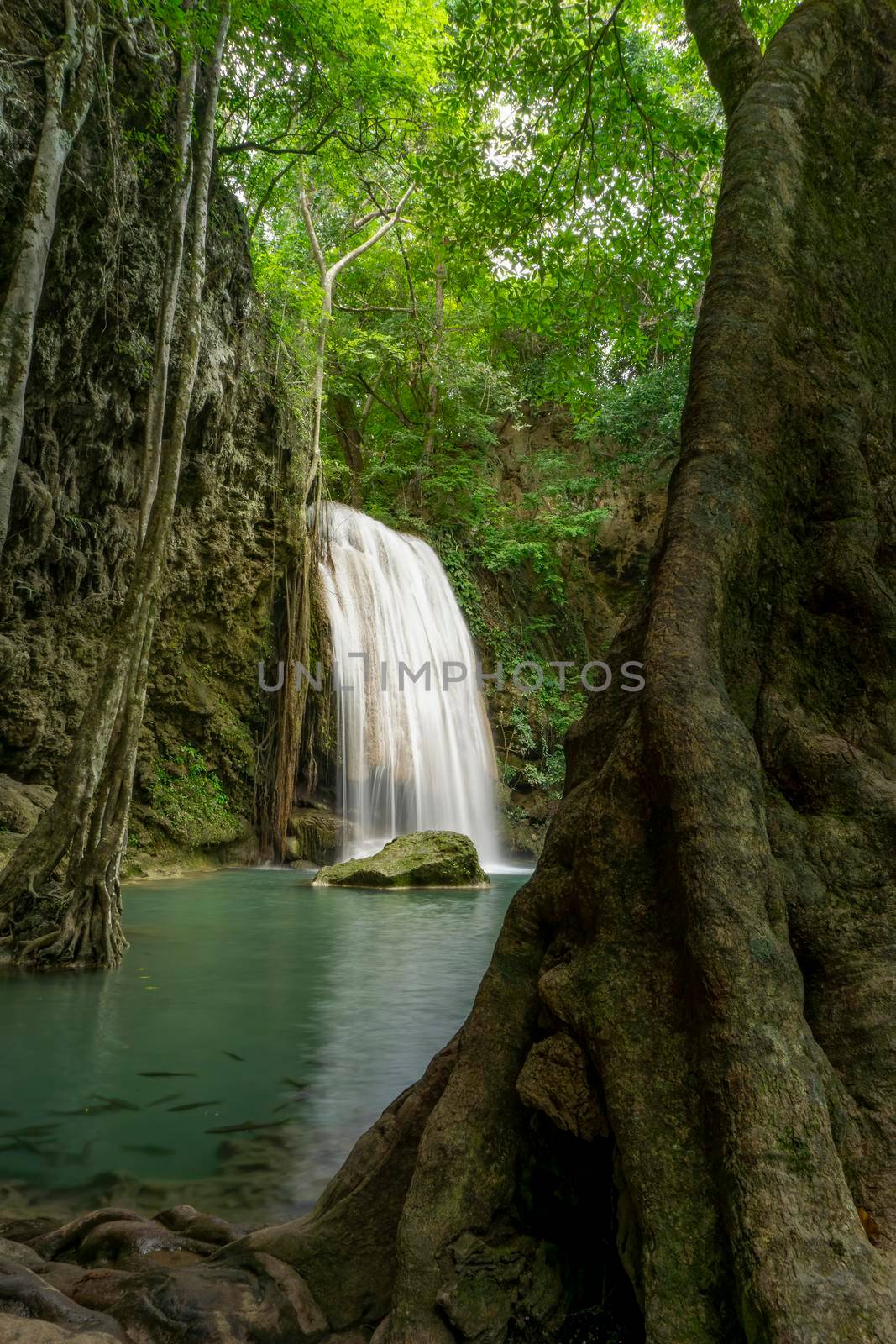 Clean green emerald water from the waterfall Surrounded by small trees - large trees,  green colour, Erawan waterfall, Kanchanaburi province, Thailand