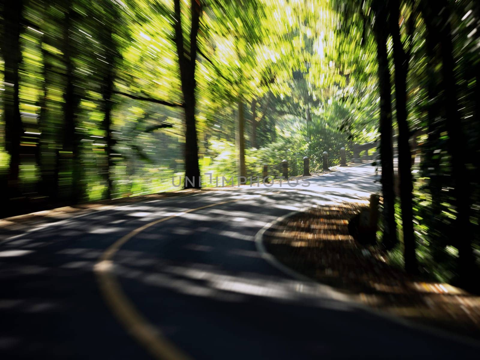 view of a beautiful road in the forest by Alexzhilkin