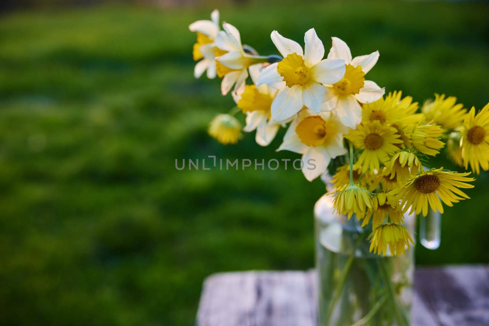 still life of rural flowers by Vichizh