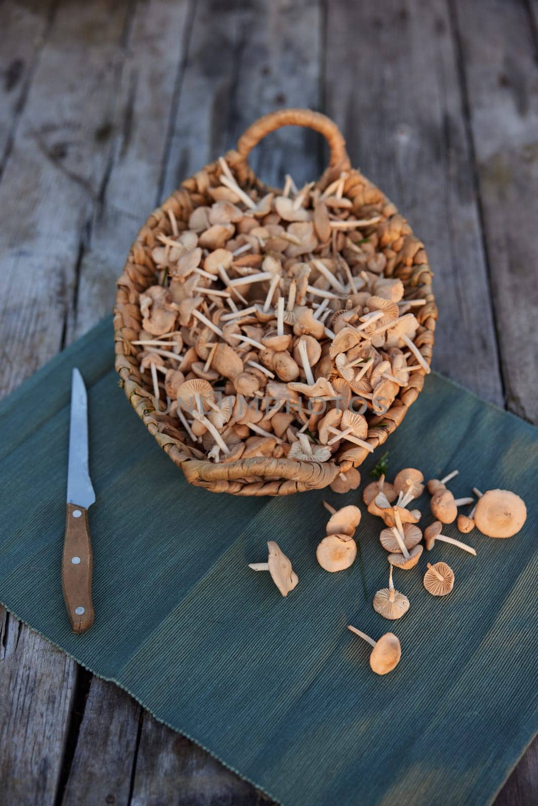 photograph of a basket with mushrooms and a nearby knife. High quality photo