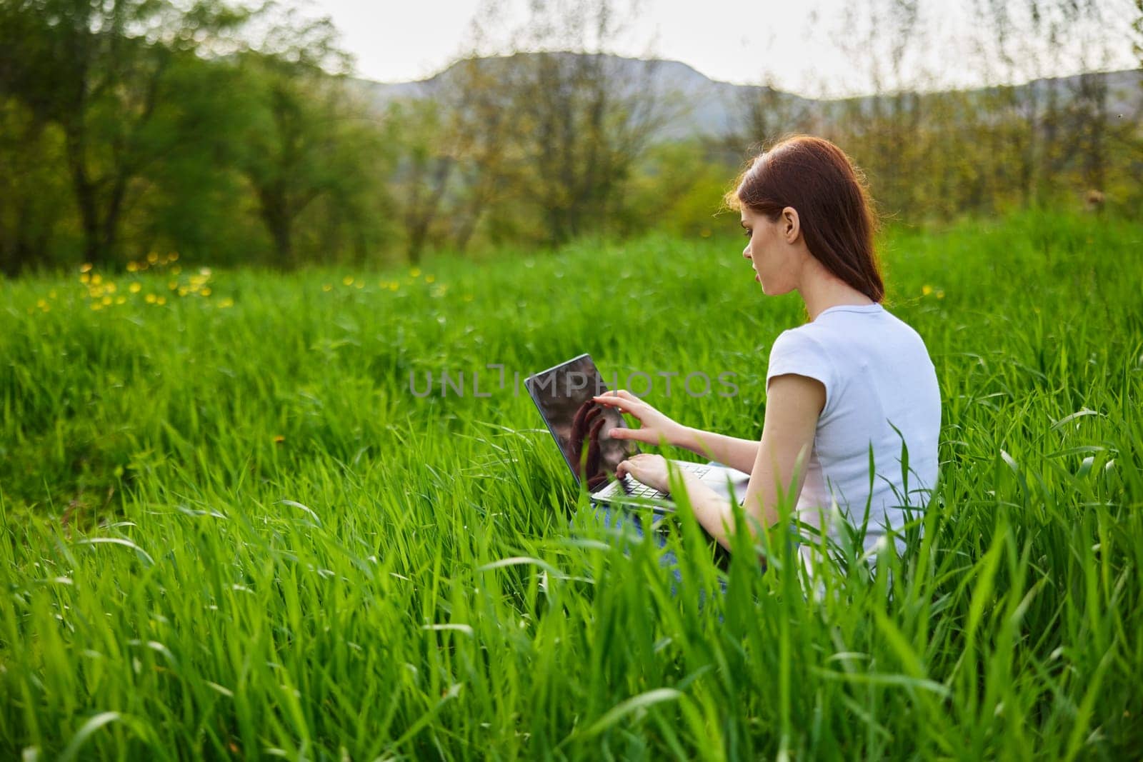 a woman works at a laptop while sitting in high green grass in nature, on a sunny summer day. High quality photo