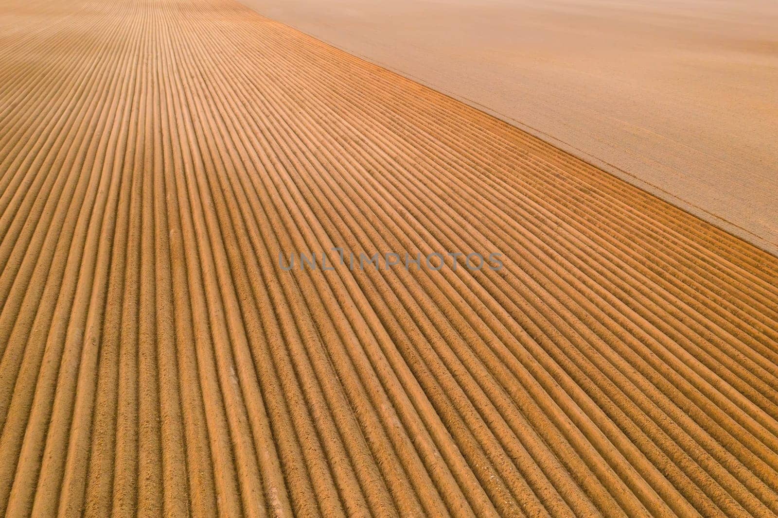 Aerial view of the agricultural field with furrows on soil at sunset