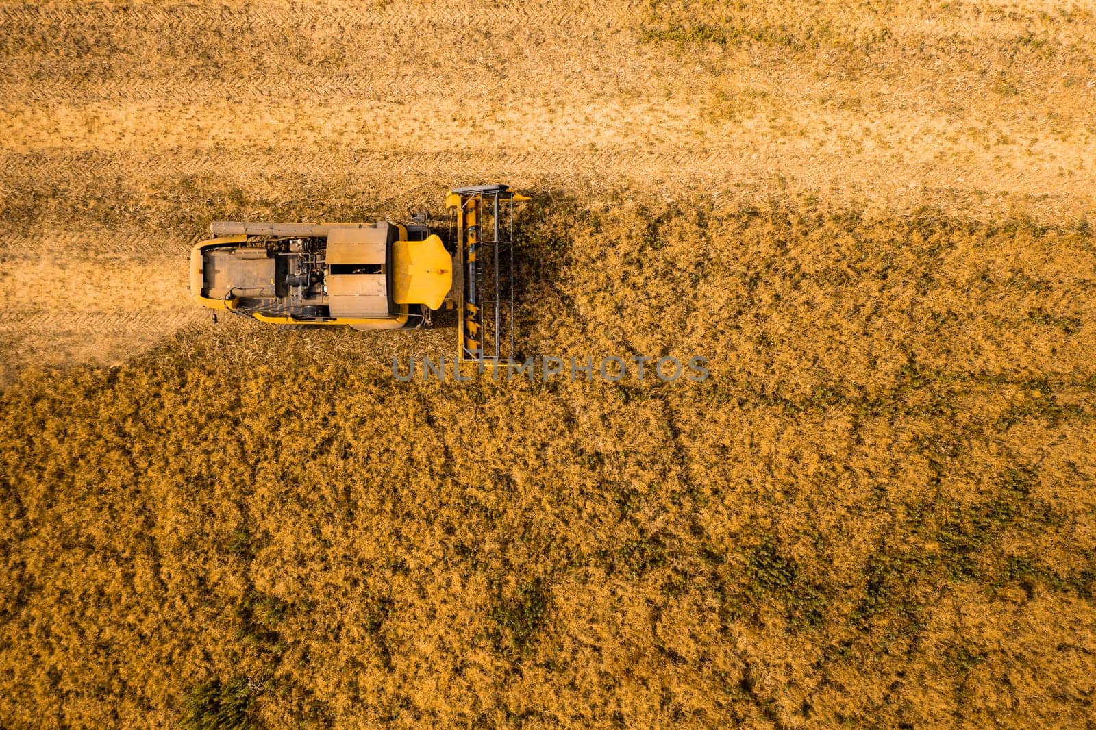 Top view of a combine harvester harvesting wheat from a field.