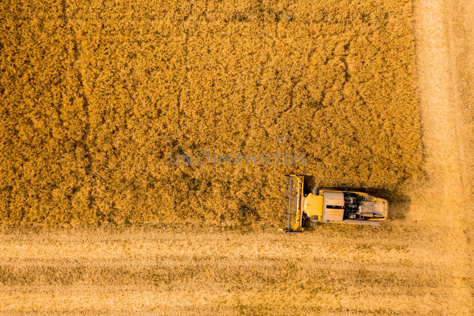 Top view of a combine harvester harvesting wheat from a field by vladimka