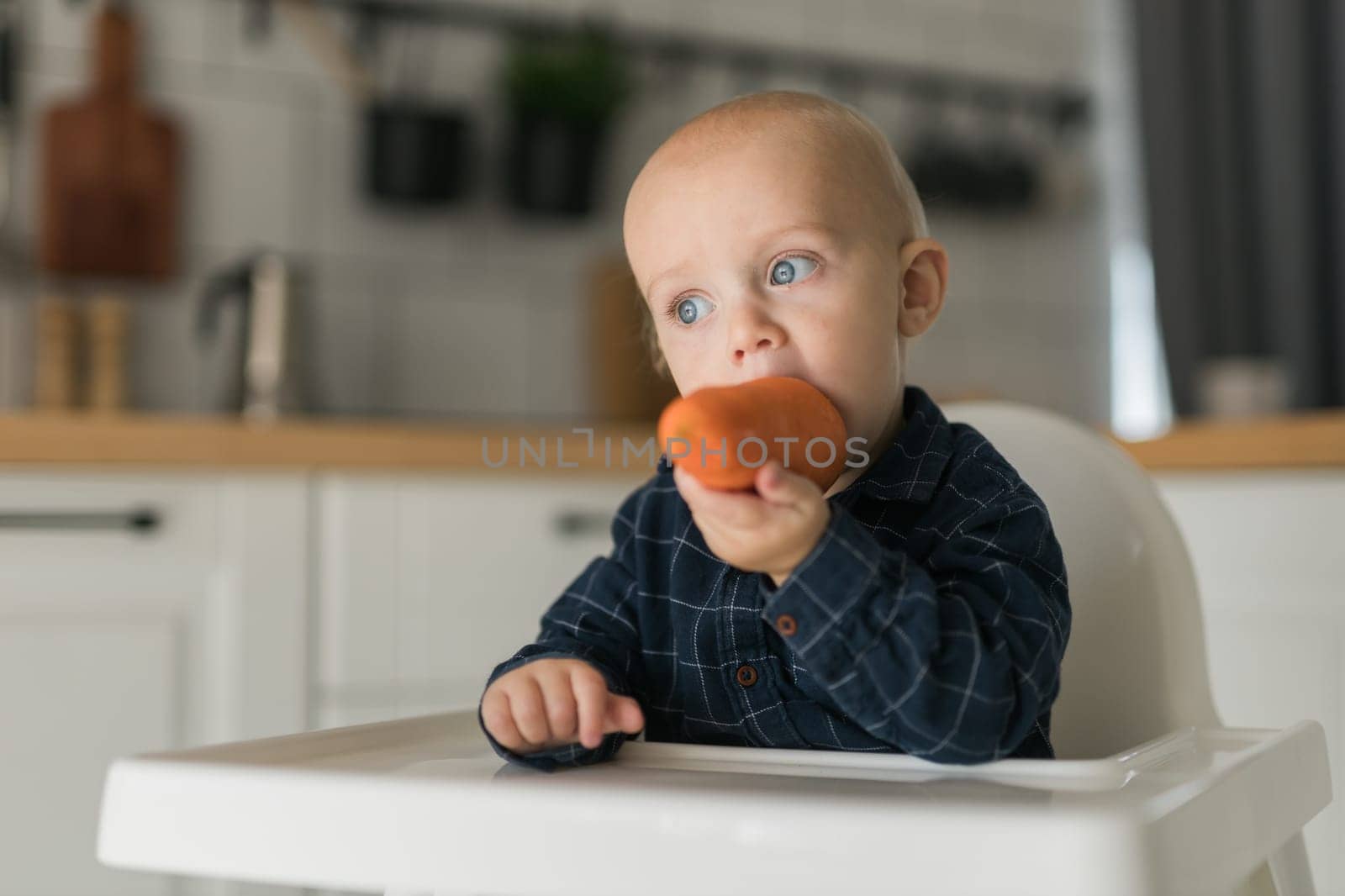 Happy baby sitting in high chair eating carrot in kitchen copy space. Healthy nutrition for kids. Bio carrot as first solid food for infant. Children eat vegetables. Little boy biting raw vegetable. by Satura86
