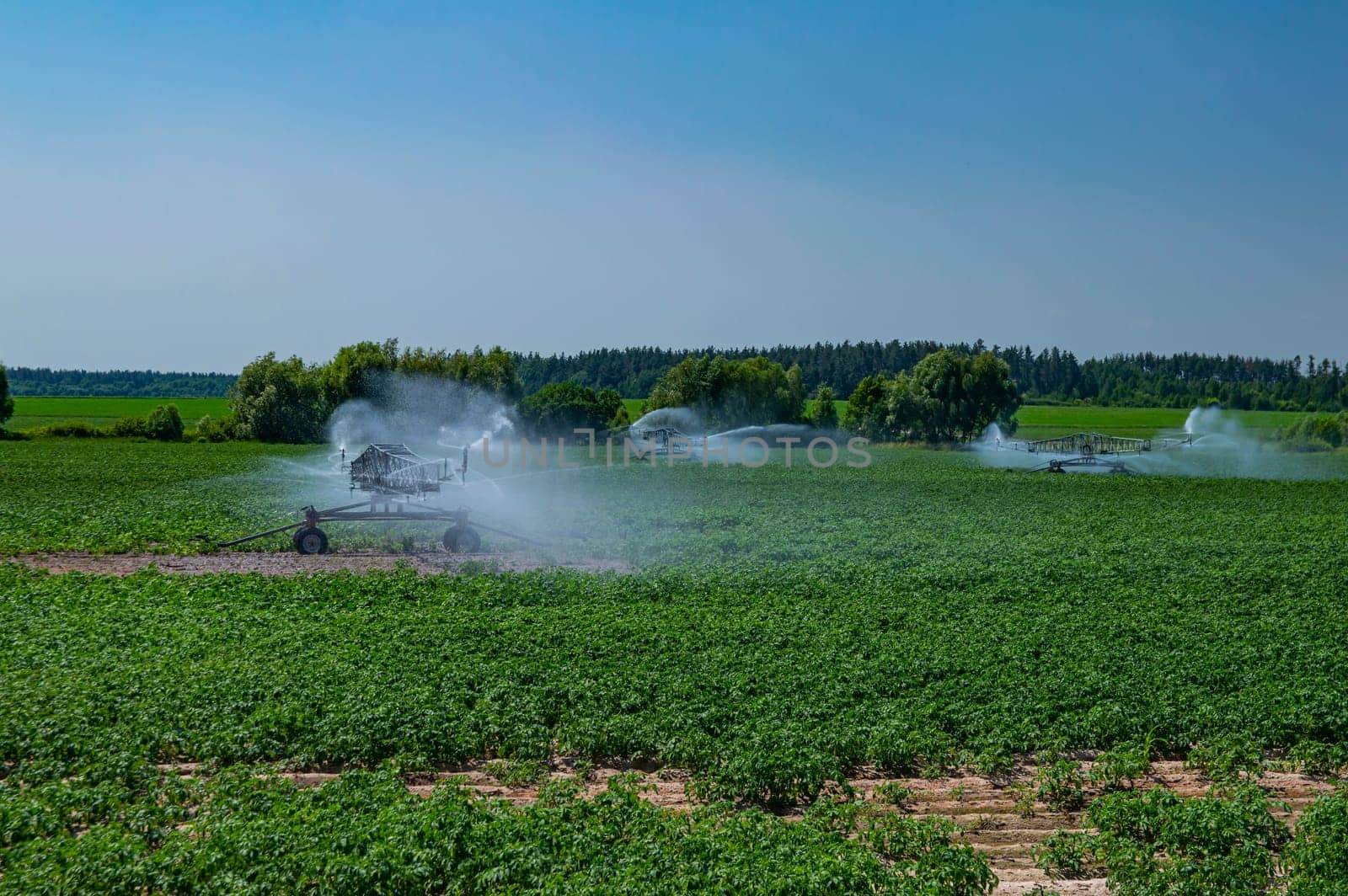 Machine irrigation of an agricultural field with water. Irrigation system. Agricultural machinery. Watering the garden. Splashes of water. Dew drops. Farm harvest processing. Eco food.