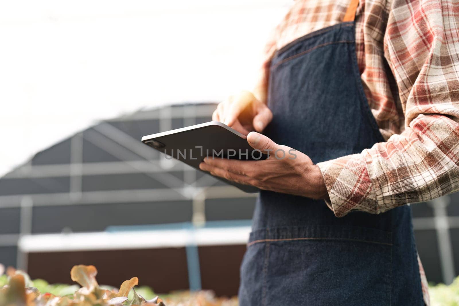 Closeup of young farmer's hands holding a tablet and checking the progress of the harvest at hydroponic greenhouse. Worker tracks the growth prospects. Agricultural concept.