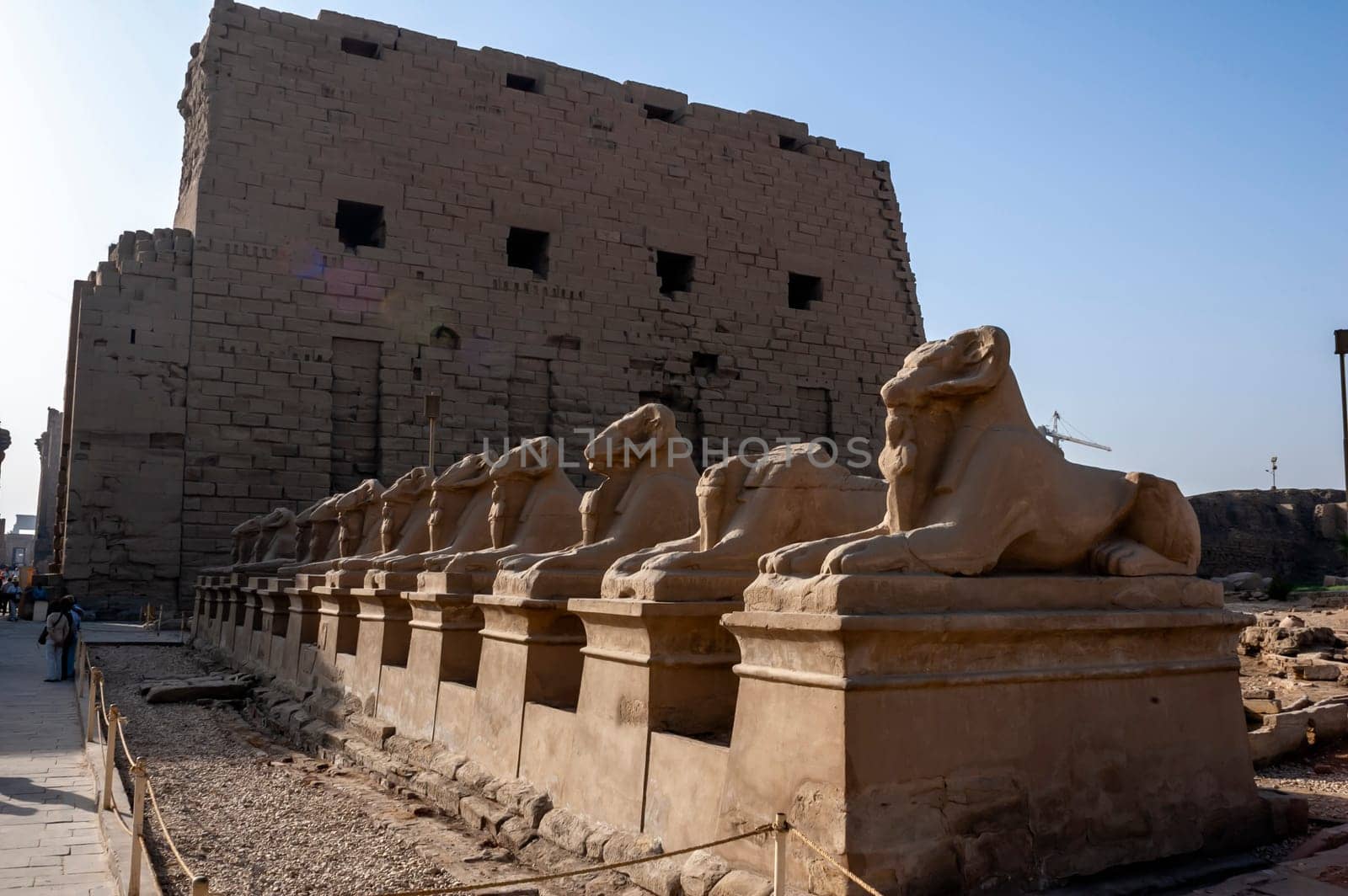 Sphinxes alley in Amon temple by Giamplume