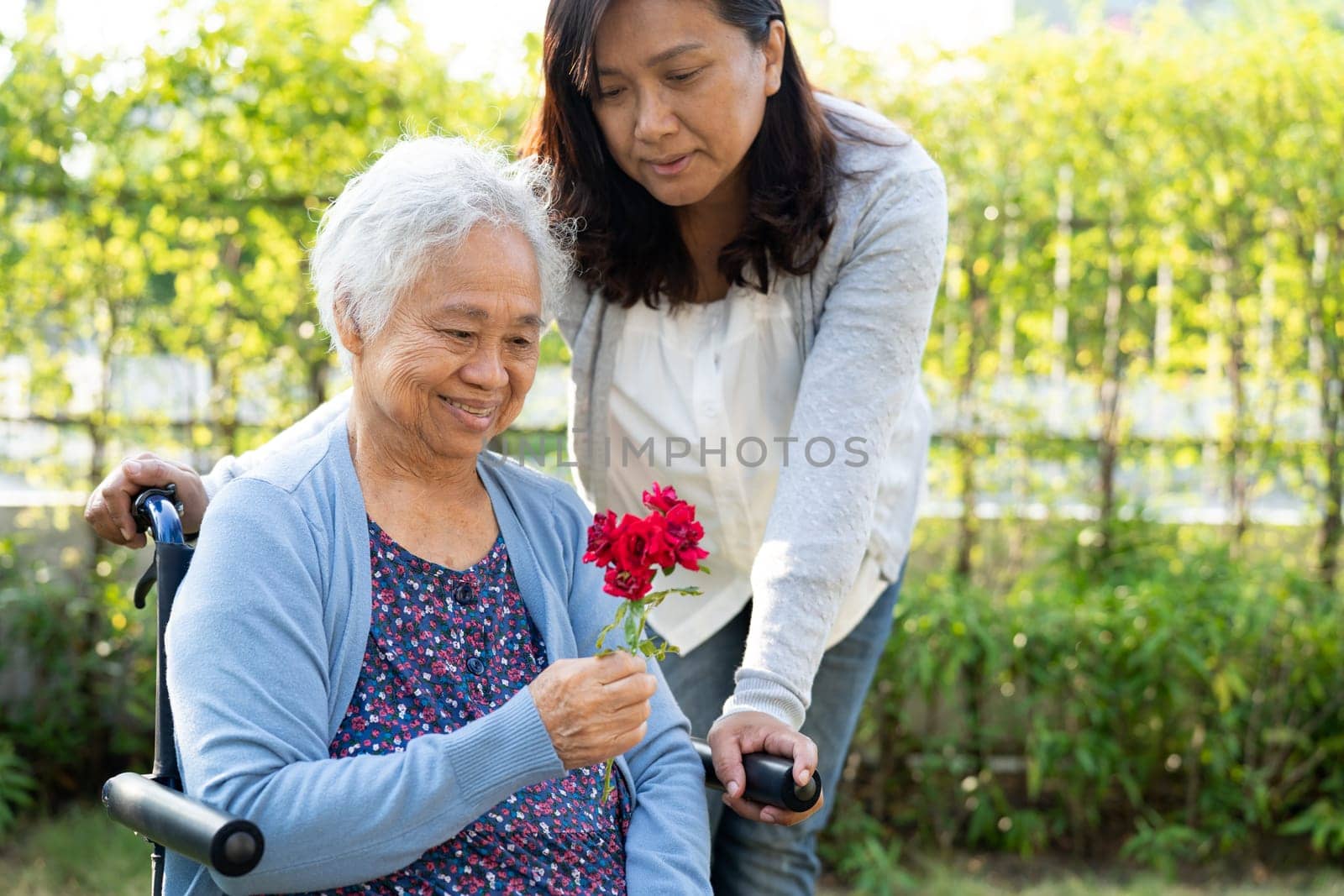 Caregver help Asian elderly woman holding red rose flower, smile and happy in the sunny garden. by pamai