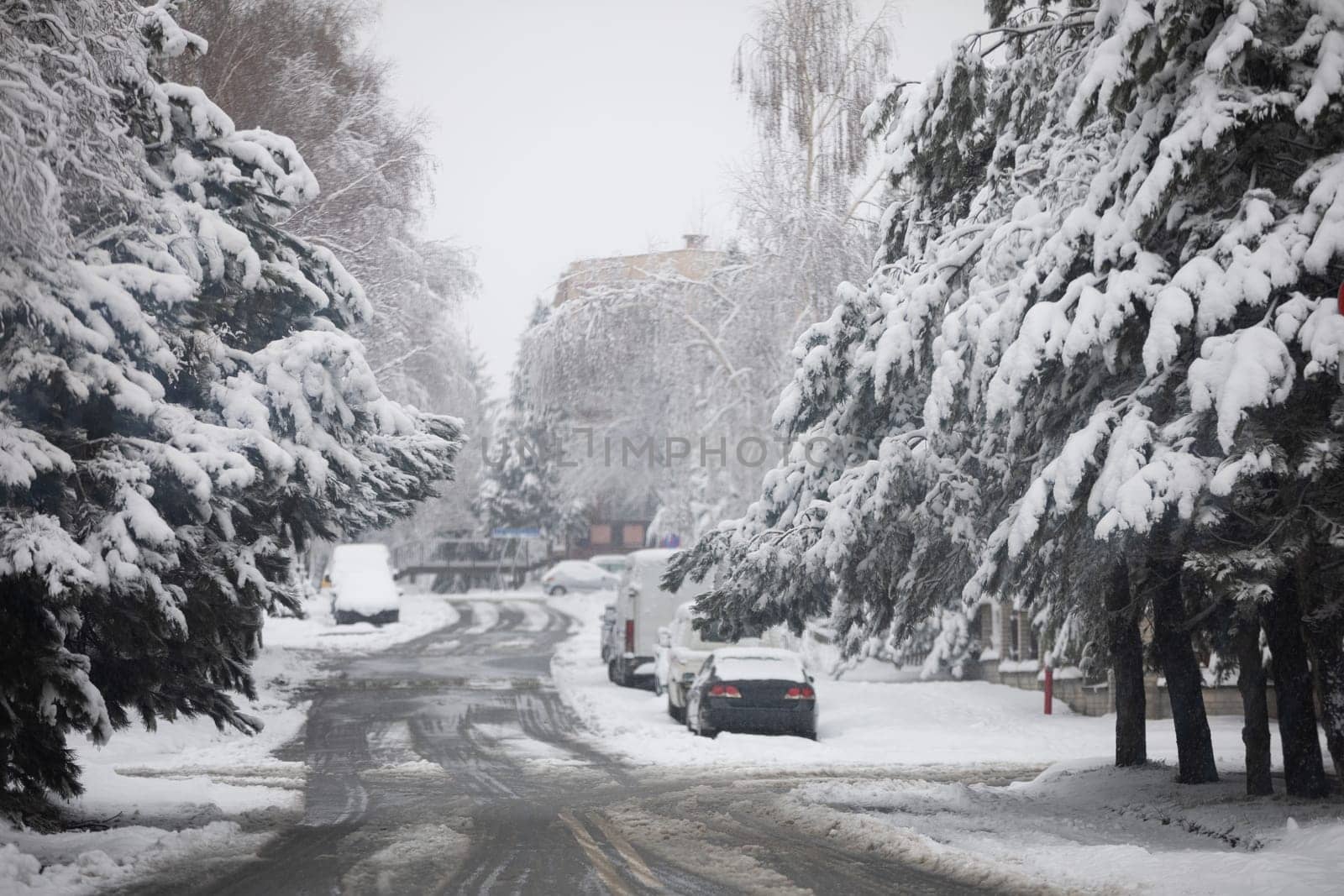 There are tall trees on both sides of the estate street. It is winter and there is heavy snowfall. Snow has covered the trees, cars, street and sidewalks. A residential block can be seen in the distance.